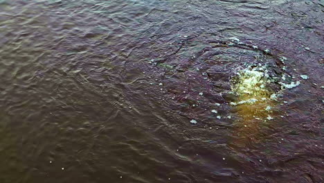 una buena foto de una fuente de agua burbujeante.