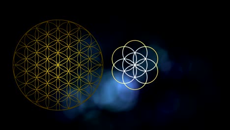 the flower of life the seed of life and the egg of life