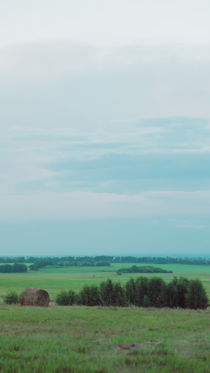 지평선으로 어있는 광활한 농경지의 풍경, 녹색, 어져있는 나무, 멀리 있는, 열린 하늘 아래의 조용한 시골 풍경