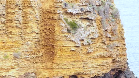 las olas del océano golpean los acantilados a lo largo de la gran carretera del océano