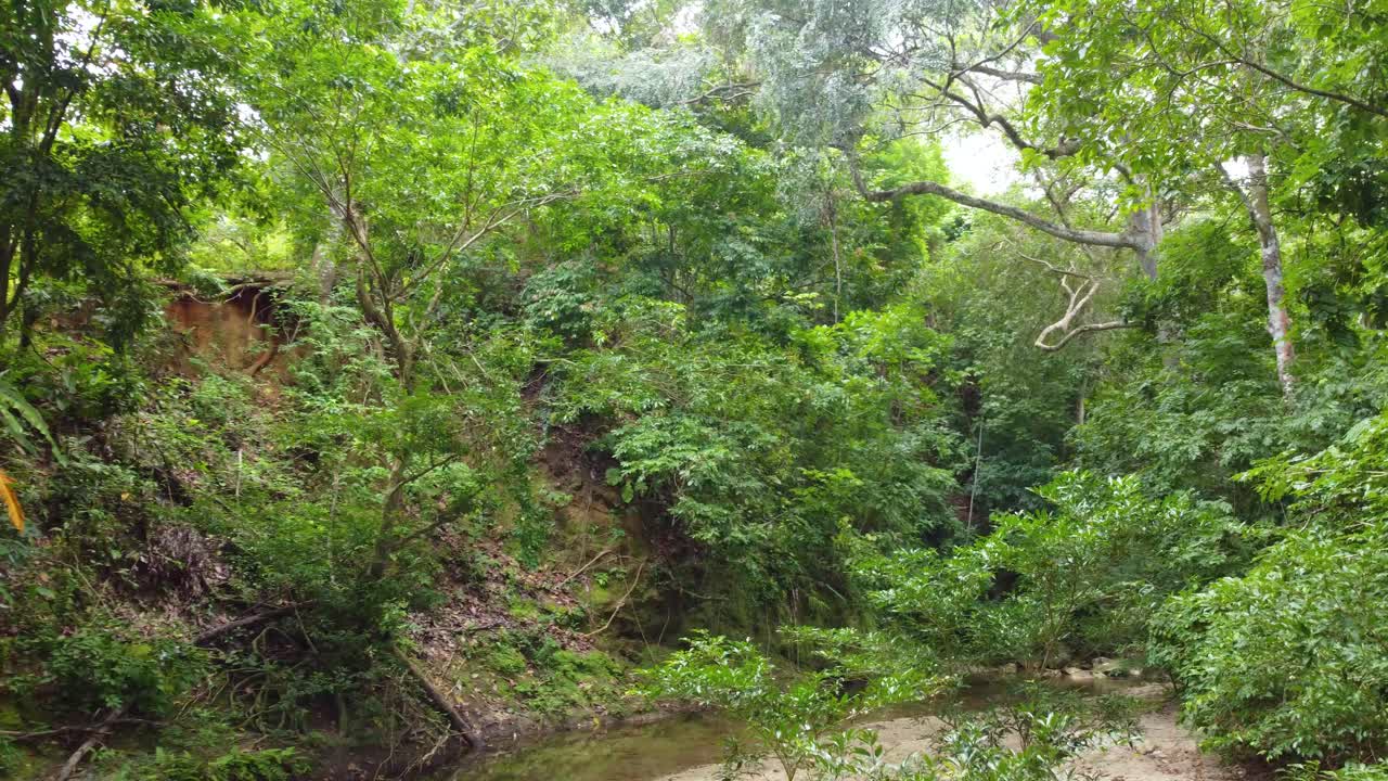 Sweeping aerial view following shallow river through rainforest, Colombia