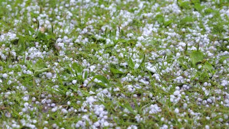 Large-hail-falls-on-the-green-grass.-There-is-a-sound-of-fall.