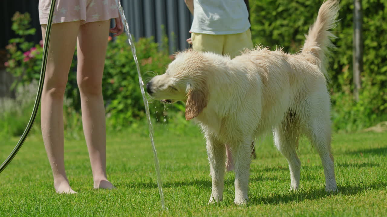 정원에서 강아지에게 물을 주고 있는 아이
