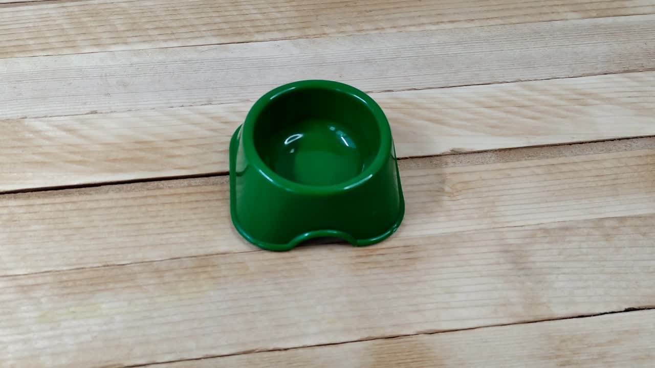 recipiente de alimentación de plástico verde vacío para mascotas en el fondo de madera, video 4k