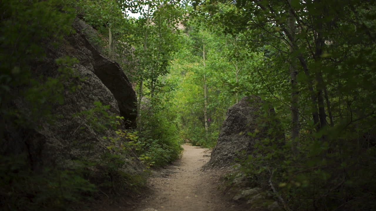 disparo de movimiento hacia adelante bajando por la ruta de senderismo con una hermosa luz en el parque nacional de las montañas rocosas