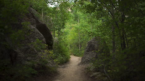 Forward-movement-shot-going-down-hiking-trail-with-beautiful-light-in-Rocky-Mountain-National-Park