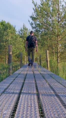 man hiking on a wooden boardwalk in a forest