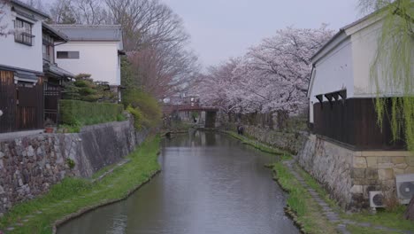 Foso-De-Hachiman-En-La-Prefectura-De-Shiga,-Japón