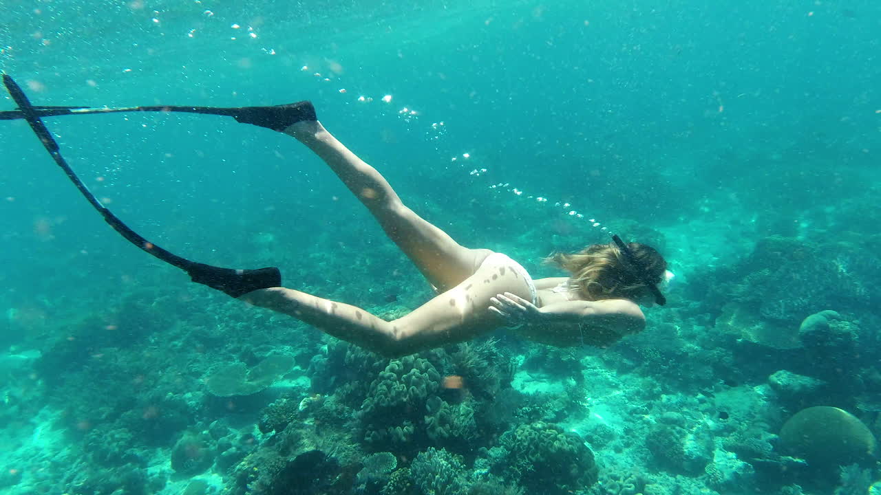 매일 좋아하는 일을 하세요.