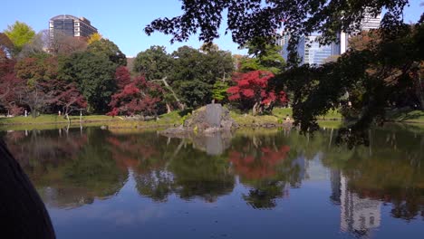 push in towards pond inside japanese landscape garden during autumn colors