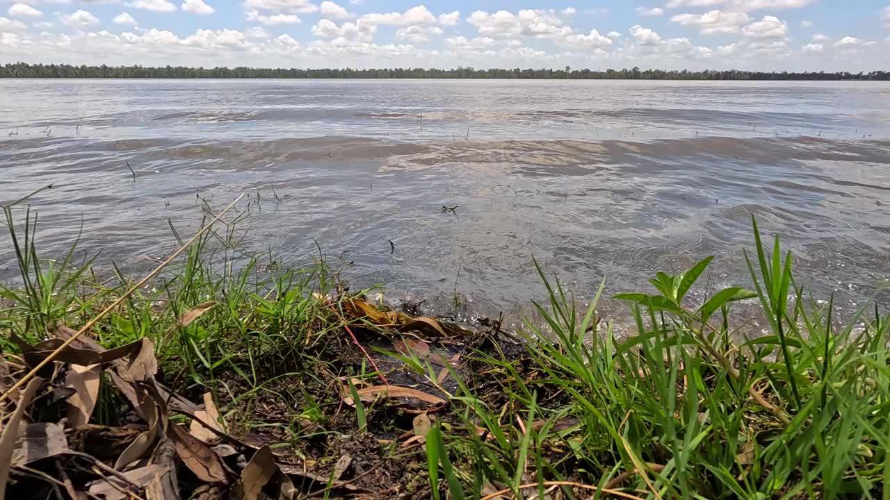Ondas batendo suavemente em uma margem de rio gramada