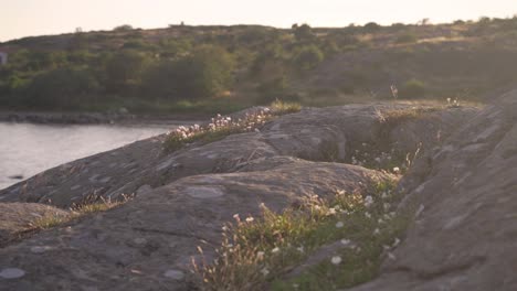 Cliffs-and-coast-landscape-by-the-sea-in-sweden