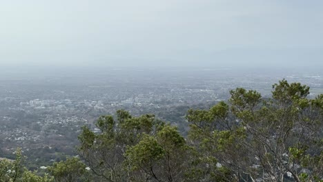 stunning views from the cecilia forest in constantia cape town