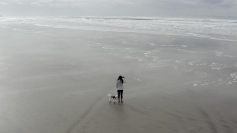 Female-taking-video-on-the-beach-while-walking-dog,-aerial-orbit,-overcast-cold-morning