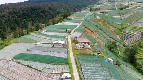 Wunderschöne-Landschaft-Aus-Reisfeldern-In-Indonesien-Mit-Kleinen-Gebäuden,-Luftaufnahme