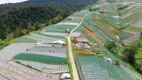 beautiful landscape of paddy fields in indonesia with small buildings, aerial view