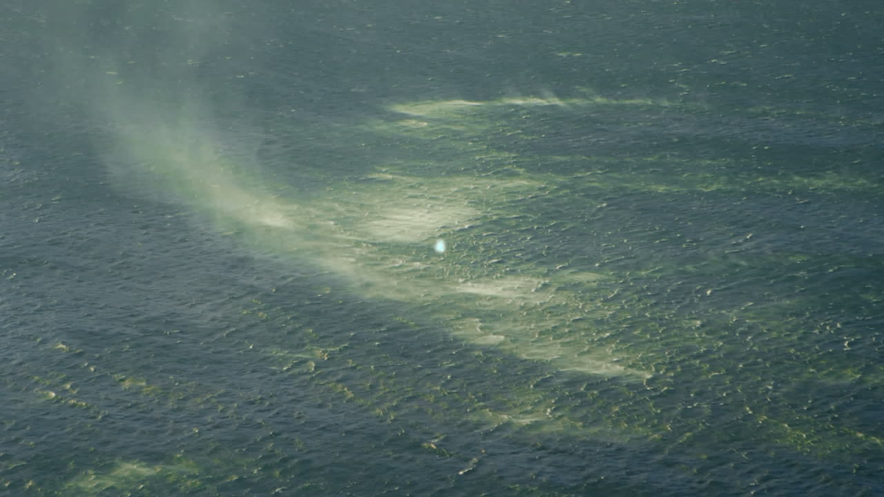 지상 연결 네트워크의 애니메이션
