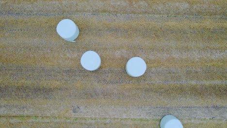 Round-hay-bales-in-field,-drone-top-down-zoom-out