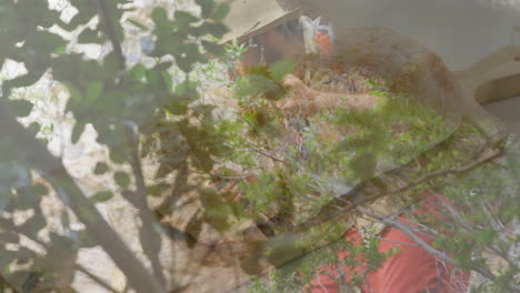 resting in hammock, person under tree branches and leaves, enjoying animation book