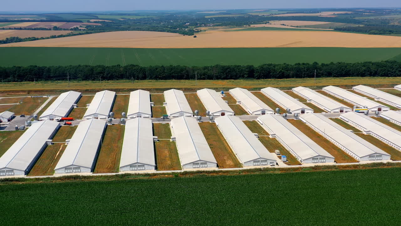 White hangars on a modern farm. Agricultural complex with barn buildings for livestock surrounded by beautiful summer nature. Aerial view.