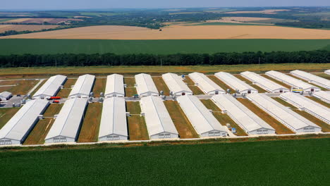white hangars on a modern farm. agricultural complex with barn buildings for livestock surrounded by beautiful summer nature. aerial view.