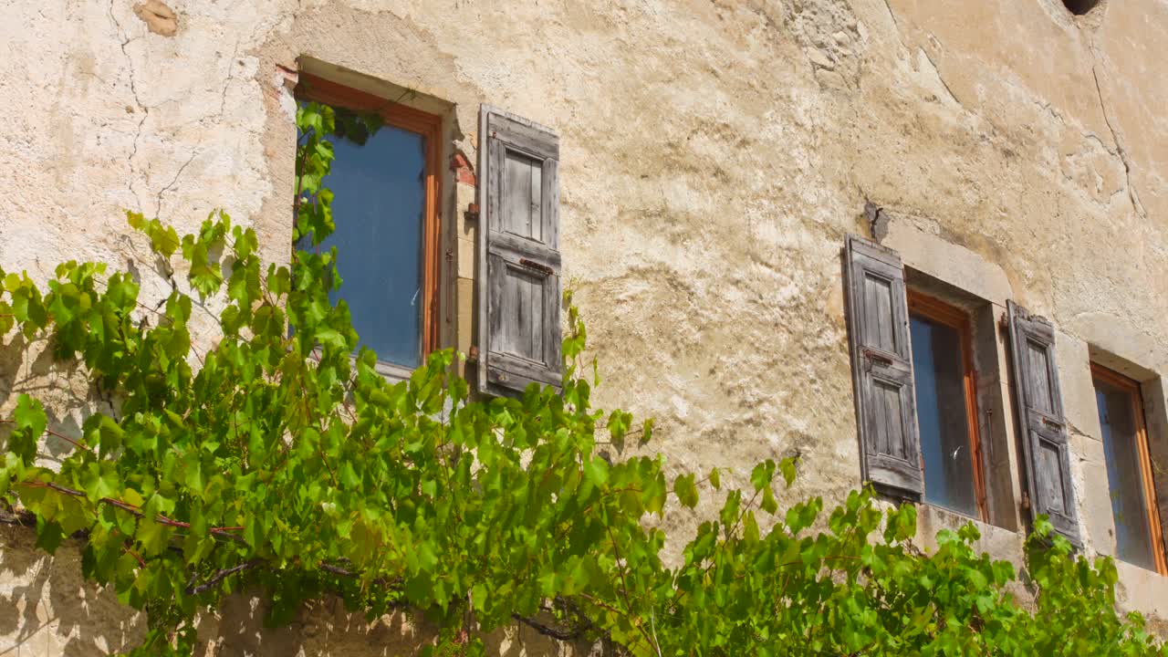 A rustic village house with wooden shutters and grapevines growing on the stone wall