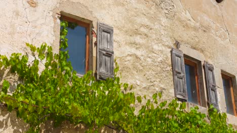 a rustic village house with wooden shutters and grapevines growing on the stone wall