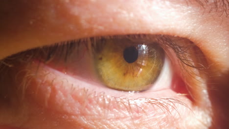 extreme close-up of a female eye without makeup and blinking dark green and brown iris, 4k image in slow motion