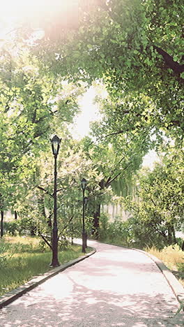 sunny path through lush green park