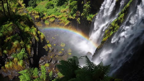 rainbow waterfall in a lush forest