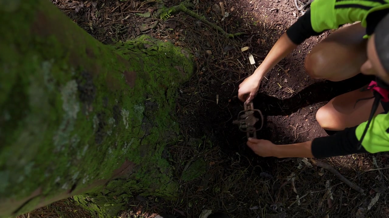 Setting Possum Trap at the Base of Tree with Hammer