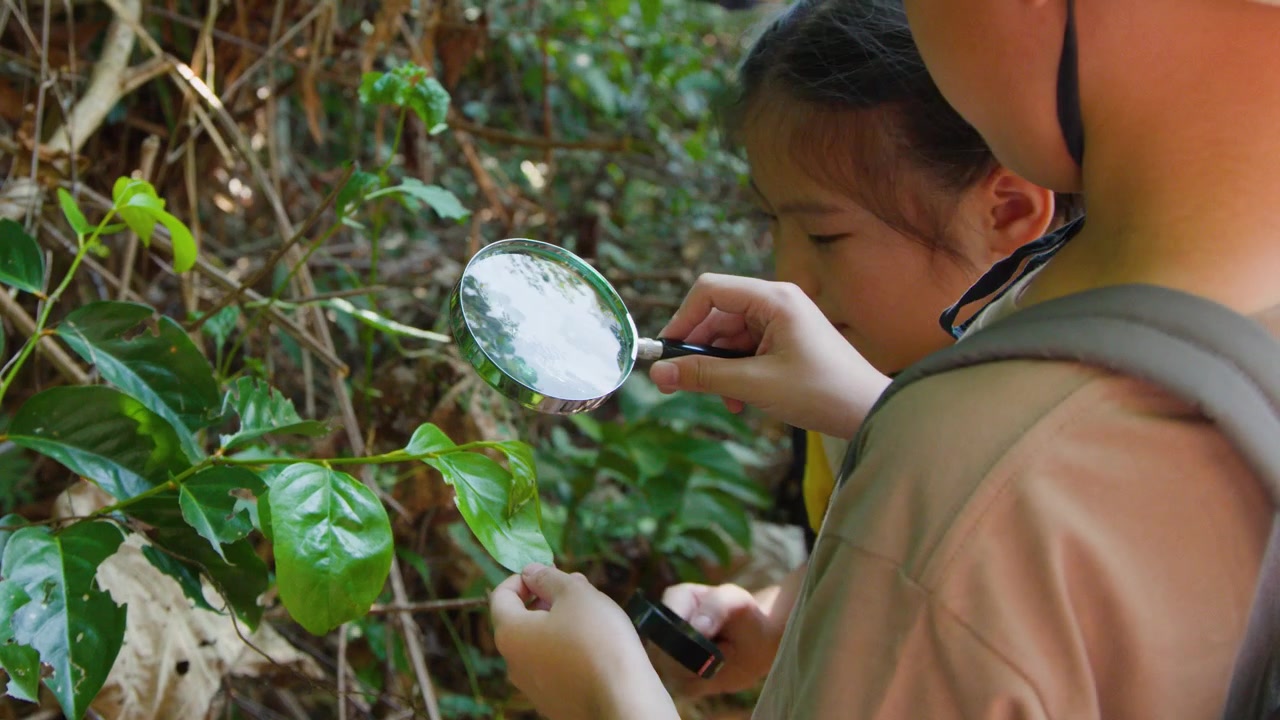 Jóvenes exploradores examinan hojas verdes con una lupa durante un estudio de la naturaleza en un bosque tropical.