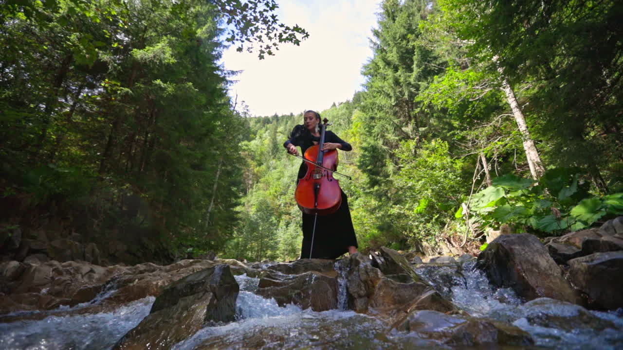 Cellist playing music on green nature background. Beautiful woman in black dress plays the cello among forest river. View from below.