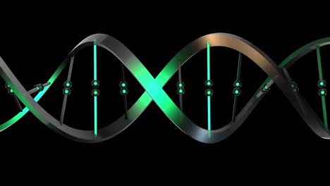 dna-horizontal de color verde translúcido