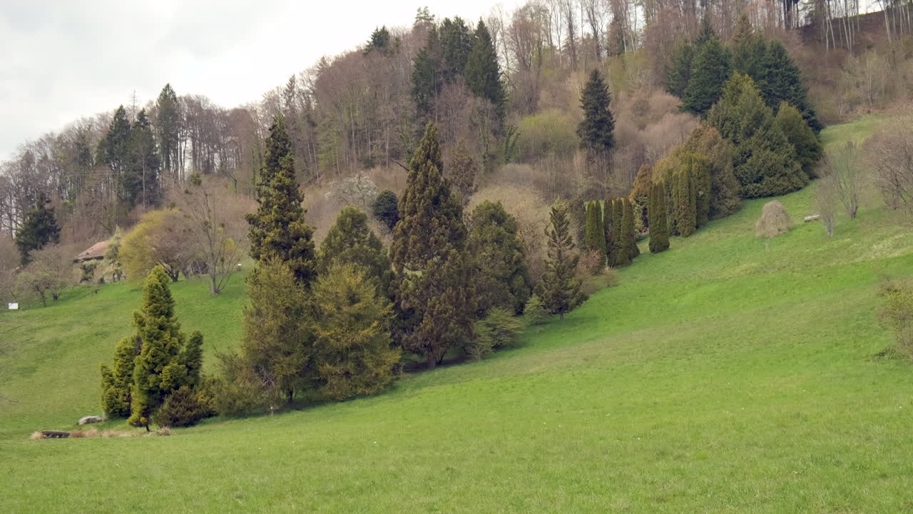 pradera verde en el arboreto de aubonne, suiza