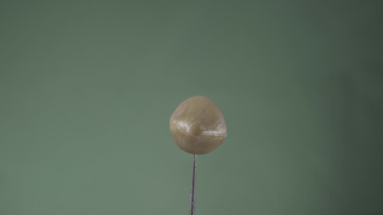 арахис вращается с петлей на зеленом экране для хроматической клавиши