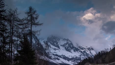 Kiefern-Alpen-Berge-00