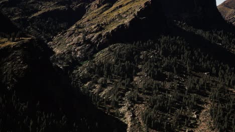 panorama-of-cone-forest-at-mountains