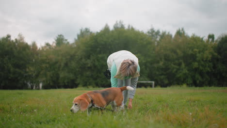 american bulldog playfully wagging tail and moving around owner as she bends down adjusting sports canvas shoe surrounded by trees under cloudy sky during casual outdoor bonding moment
