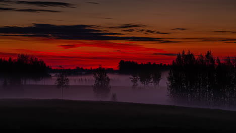 Beautiful-misty-morning-with-fog-between-silhouetted-trees