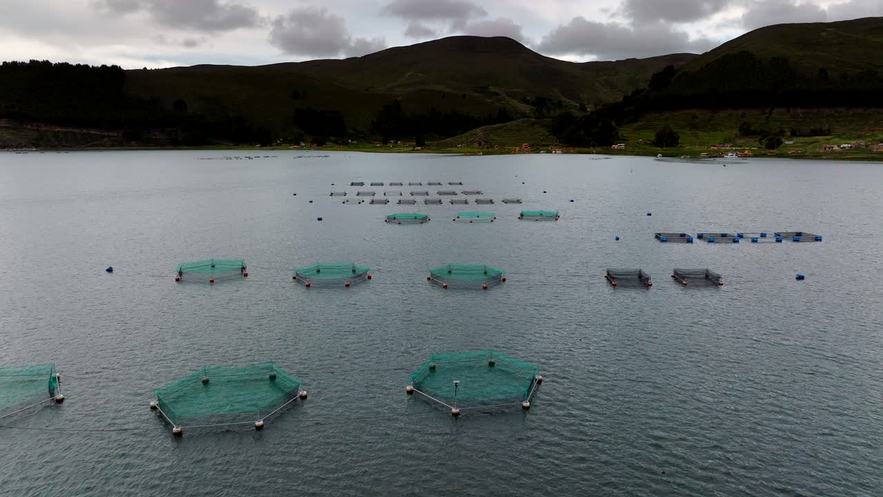 Rainbow trout fish farm with circular net pens on Lake Titicaca near Copacabana, Bolivia. Aerial forward