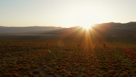 amanecer en un valle cerca de lone pine en sierra nevada