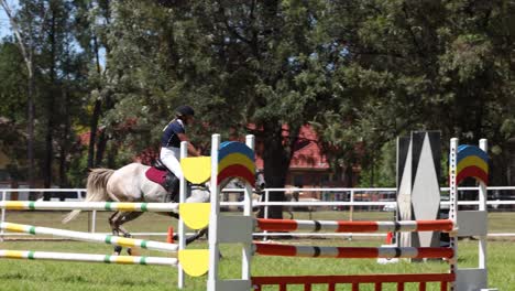 caballo y jinete navegando en un curso de salto de espectáculo