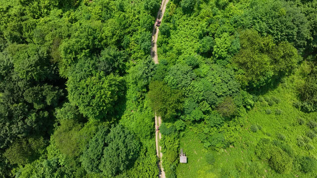 vista aérea de un camino de tierra que serpentea a través de un bosque verde exuberante