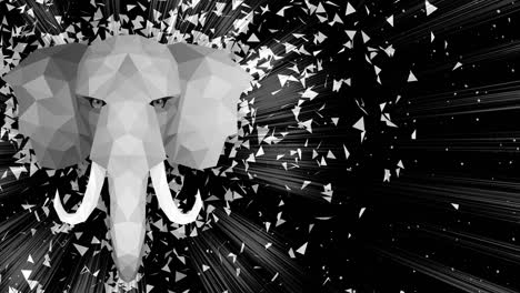 polygonal elephant background. animal head. low polygon loop animation. geometric wildlife. polygonal animal portrait.