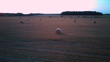 Flying-Above-the-Field-With-Hay-Rolls-Sunrise