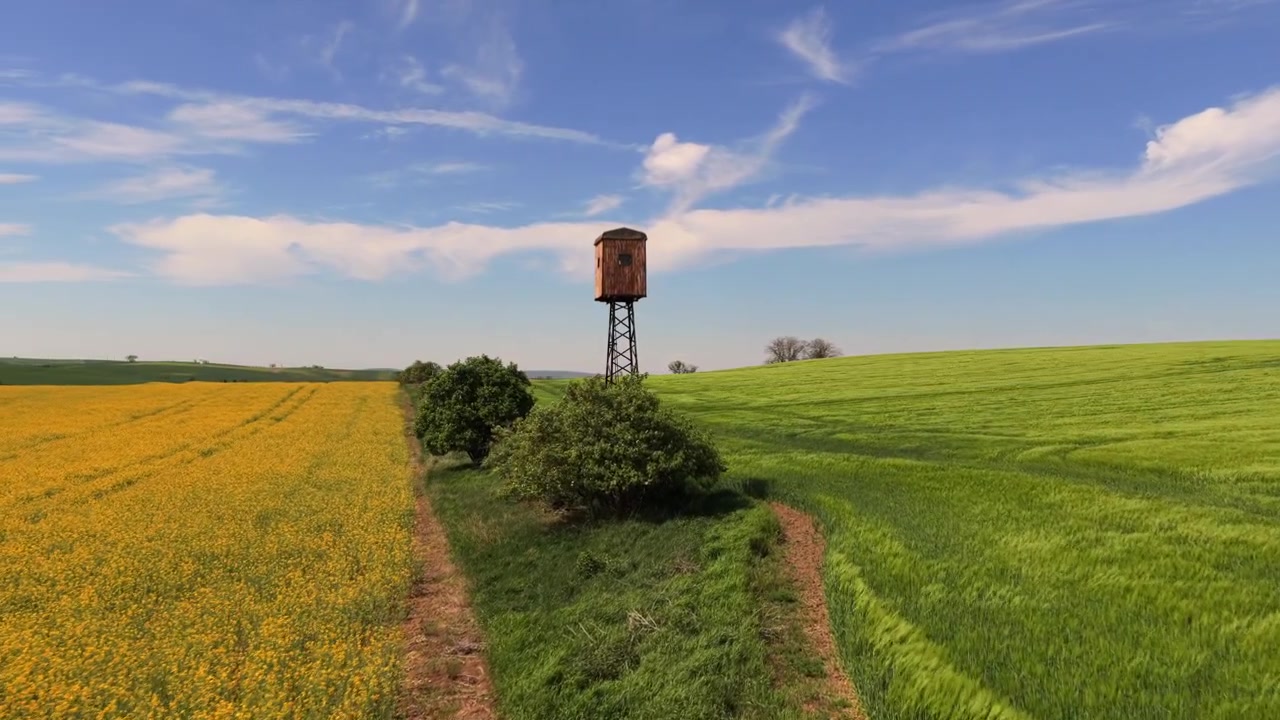 Luftfoto fra drone af et træjagtstårn på metalpæle ved kanten af en gul rapsmark og en grøn hvedemark under blå himmel, Morava, Tjekkiet.