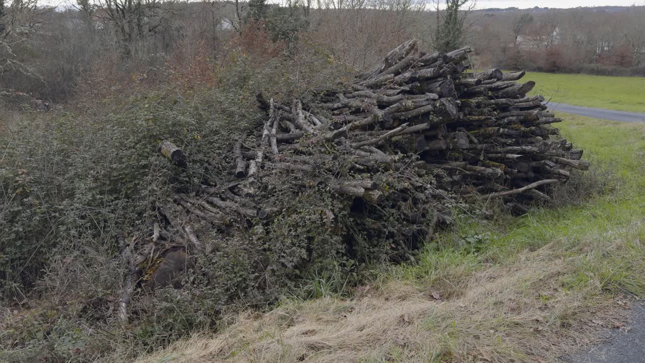 Bunch Of Old Wood Cutted And Piled At The Side Of A Path In The Countryside