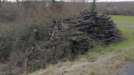 Bunch Of Old Wood Cutted And Piled At The Side Of A Path In The Countryside