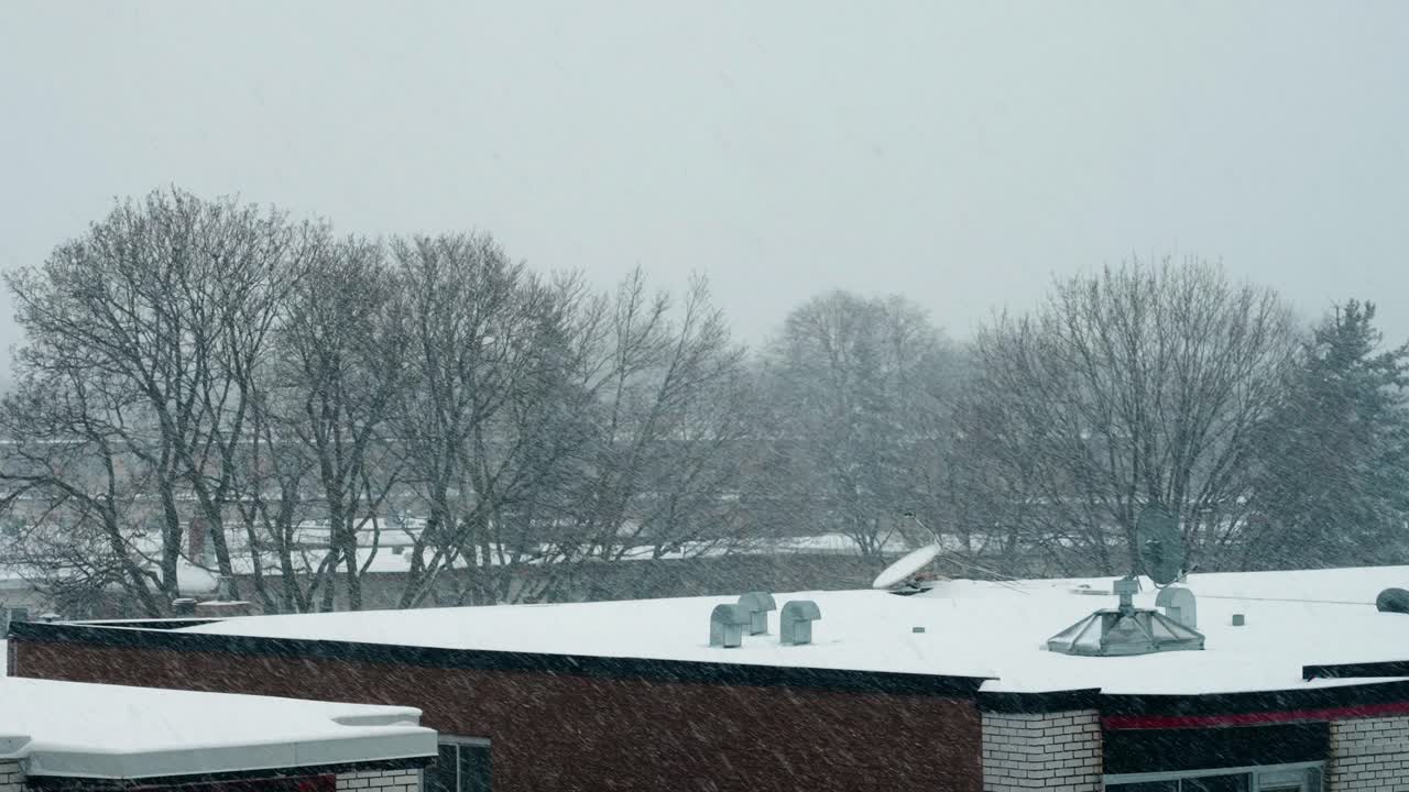 추운 겨울 눈 4k에서 도시 건물 지붕 뒤에 벌거 벗은 나무 가지